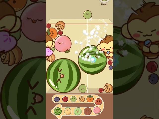 World record watermelon game