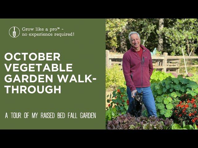 A Tour of the Fall Vegetable Garden | with Joe Lamp'l