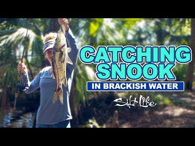 Catching Snook in Brackish Water | Salt Life