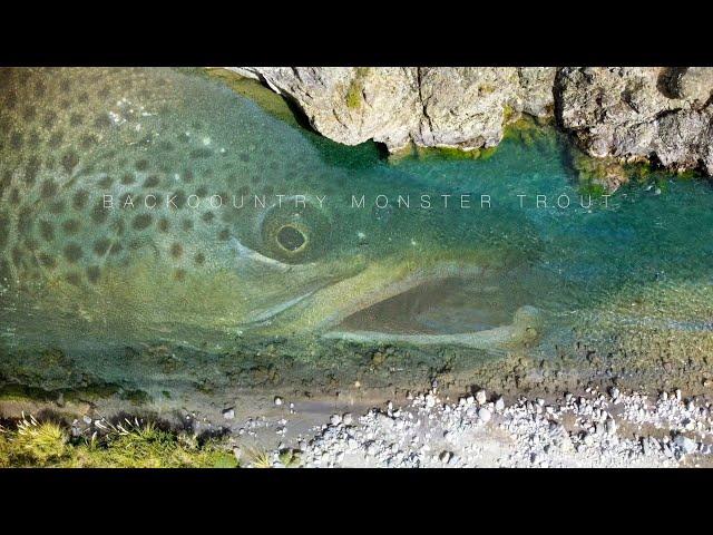 Backcountry Monster Trout 2 (New Zealand Episode 15)