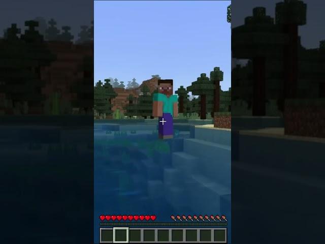 Minecraft WTF Moment, Shocking Steve Run On The Water | Short