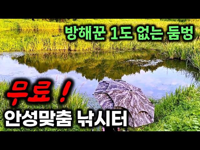 굶주린 붕어가 모여있는곳 경기도 여주 무료 낚시터, 미친 입질에 파김치 된 붕어 무료낚시터 후기 #현지인 #fishing #무료낚시터