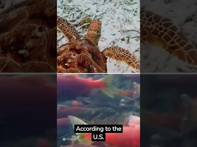 science facts / Evolution / Ecology / DNA / Ecosystems / Geology / Neuroscience / Magnetism / Cells