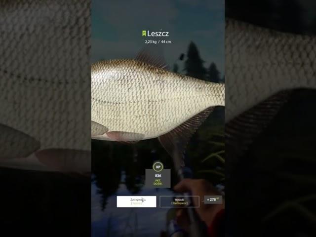 Old Burg Lake Bream Brasse Leszcz  Russian Fishing 4 #shorts