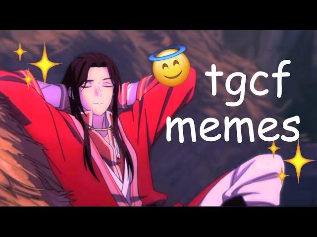 tgcf memes donghua special