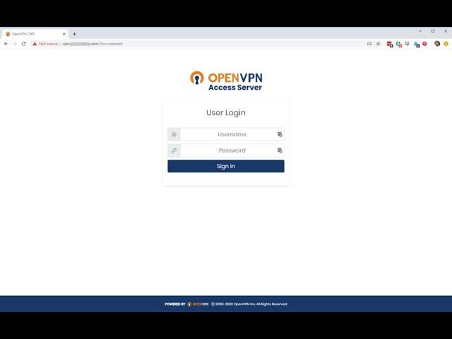 OpenVPN, Windows 10, installation? Cyber Wings