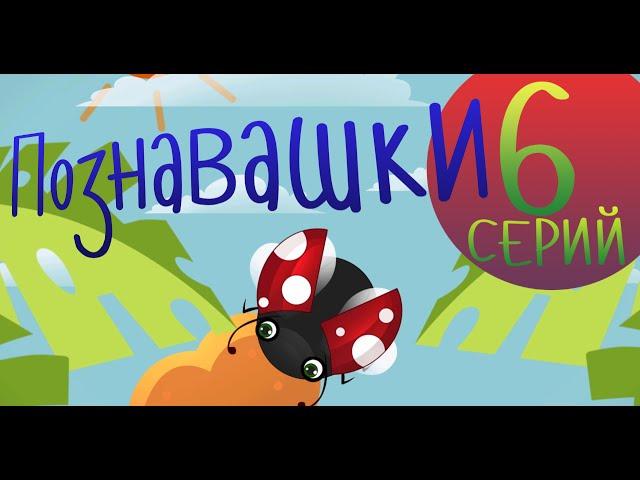 Мультфильмы для детей - Познавашки - Развивающие мультфильмы Все Серии подряд!