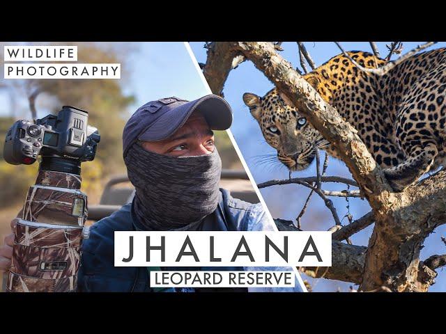 Chasing Wild Leopards Isn't Easy | Wildlife Photography in Jhalana Leopard Reserve, Rajasthan