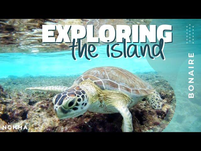 SAILING LIFE in Bonaire - Exploring The Island | Ep. 63