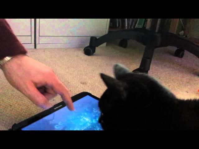 Cat fishing with Riffraff