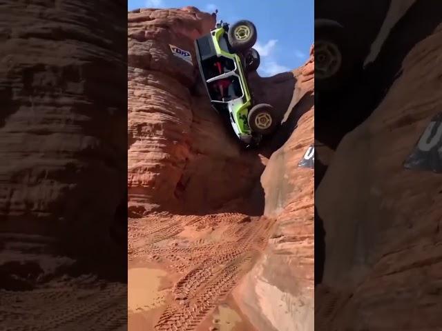 Jeep Got really lucky  |#youtubeshorts #shorts