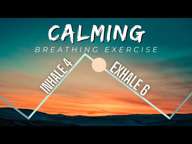 Calming Breathing Exercise (Inhale 4s, Exhale 6s)