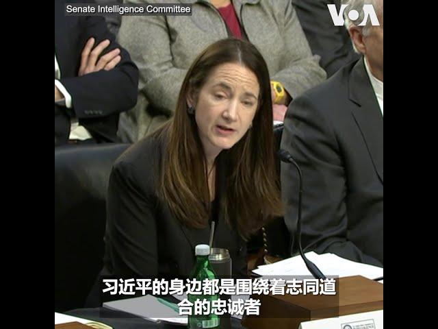 美国情报总监：评估习近平第三任内将加大对台压力 制造美国与盟友间的隔阂