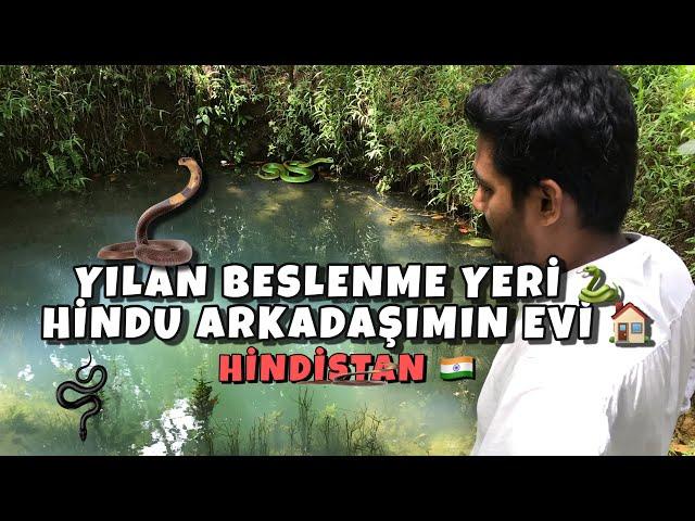 ŞAŞIRMAYA HAZIR MİSİNİZ ?    | Hintli Dayi | İLGİNÇ İNANÇLARI 