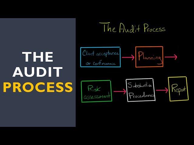 The Audit Process