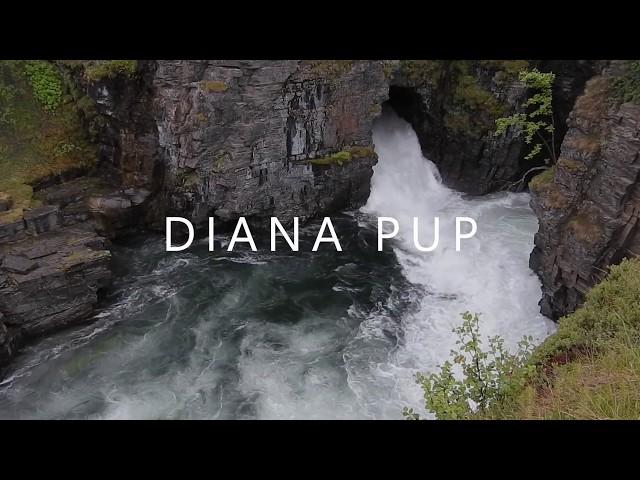 Diana Pup - Tu Ești adăpost |Official Lyric Video|