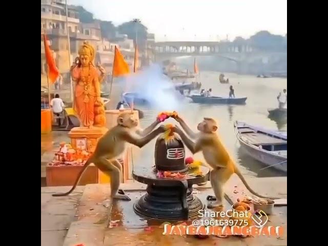 Jay Bajrangbali Hanuman chalisa