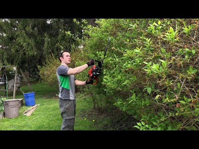 Unboxing ECHO HC-2020 gas hedge trimmer with first start and job time lapse