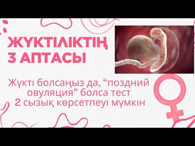 ЖҮКТІЛІКТІҢ 3 АПТАСЫ/ЖҮКТІЛІКТІҢ АЛҒАШҚЫ БЕЛГІЛЕРІ/ТЕСТ НА БЕРЕМЕННОСТЬ