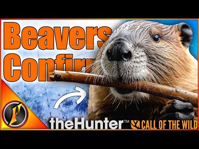 BEAVERS CONFIRMED?!? | NEW MAP TEASER VIDEO theHunter Call of the Wild