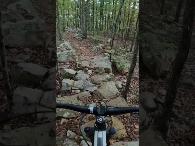 A good trail has some chunk to it #biking #mtb #cycling #mountainbike #coldwater #techtrail #gopro