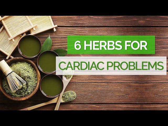 How Herbal Medicine Can Help With Cardiac Problems And 6 Herbal Remedies