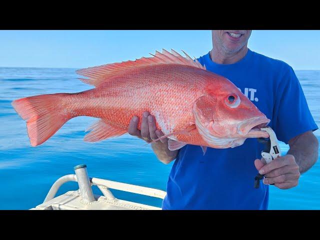 fishing 100km off shore,  great barrier reef CQ