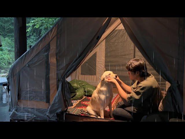 Solo Camping in the Heavy Rain Forest with Dog  [ Relaxing, ASMR ]