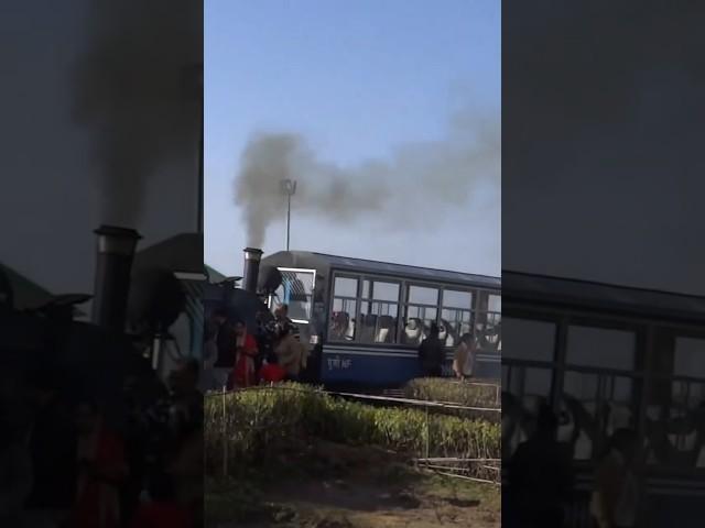 Darjiling #toytrain #parineeta #trending