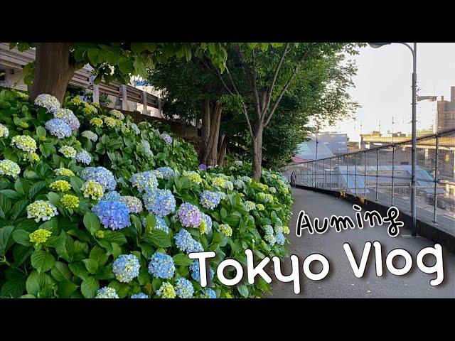 [SUB]Japan Tokyo vlog(Korean daily life) A cost-effective sushi, McDonald's New Menu in Japan ETC