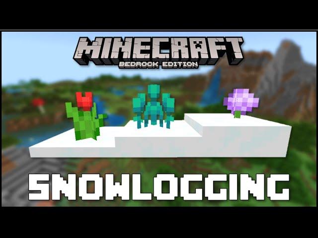 Minecraft Bedrock Edition Exclusive Features #1 - Snowlogging