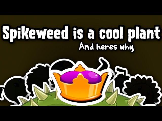 Spikeweed is REALLY cool: here's why