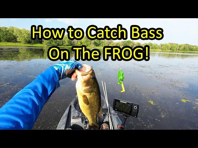 Learn How to Fish a Frog Lure for Bass (Frog Fishing Tips for Beginners)