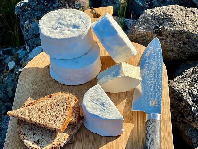 CAMEMBERT fatto in casa