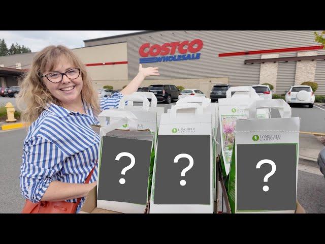 Costco Bulb Haul | My Top Picks and Passes