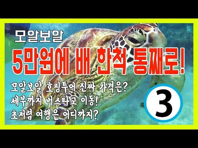 필리핀 세부 자유 여행기 3편 | 모알보알 호핑투어 바다거북이 만나기 저렴한 리조트 시설 공개