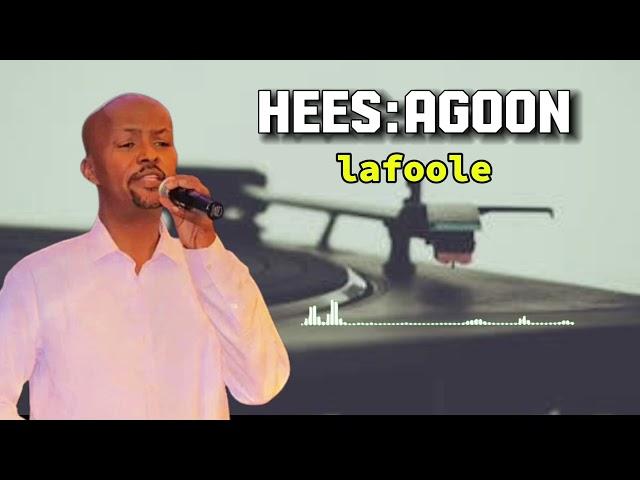 lafoole:hees agoon.