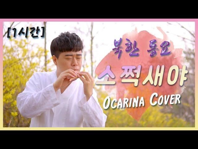 [1시간] 소쩍새야 (북한뮤지컬 피바다 OST) - 김정우 오카리나 연주 연속재생 | Ocarina ASMR | 陶笛 | オカリナ