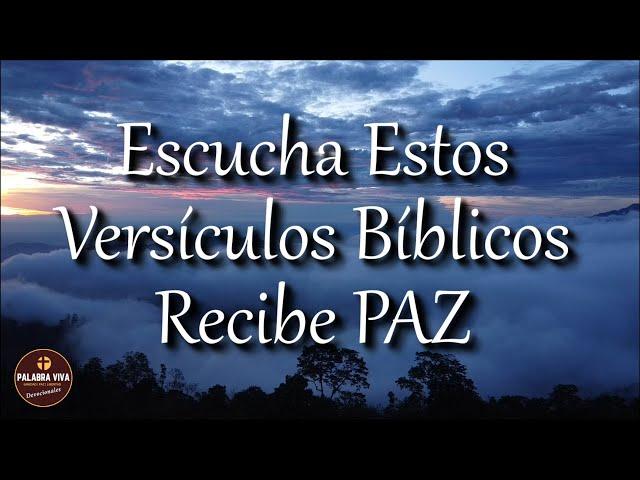 Recibe PAZ escuchando estos Poderosos Versículos Bíblicos | Biblia hablada | Bible audio