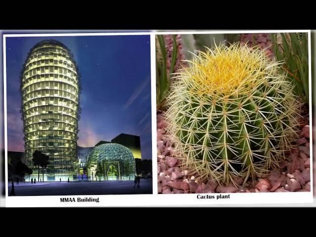 10 Nature Inspired Architectural Designs