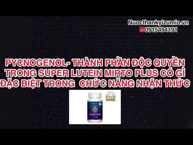 Pycnogenol cải thiện chức năng nhận thức