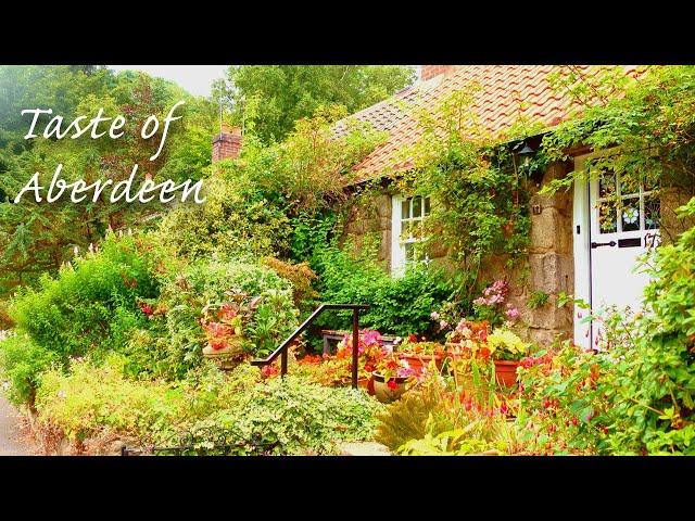 Scottish English,Scots dialect Doric|Walk in Aberdeen with nature|Typical breakfast|Scotland UK vlog