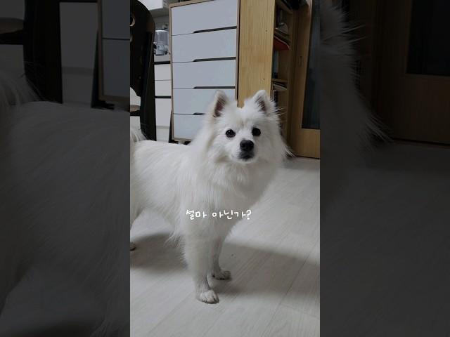 대관절.. 언니가 뭐길래~ ^0^ #shorts