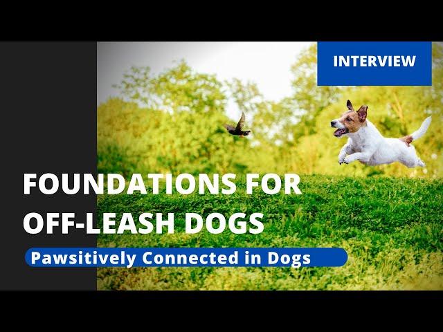 Foundations for Off-Leash Dogs