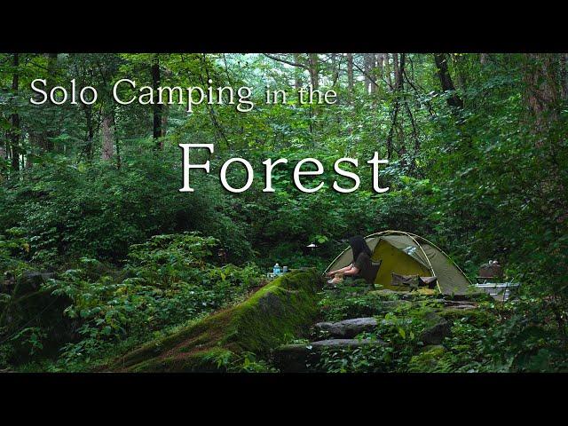 [4K] Solo Camping in the Forest | 뜨거운 여름에도 불멍이지 | 숲속캠핑 | 장작소리 | solo camping | 솔로캠핑