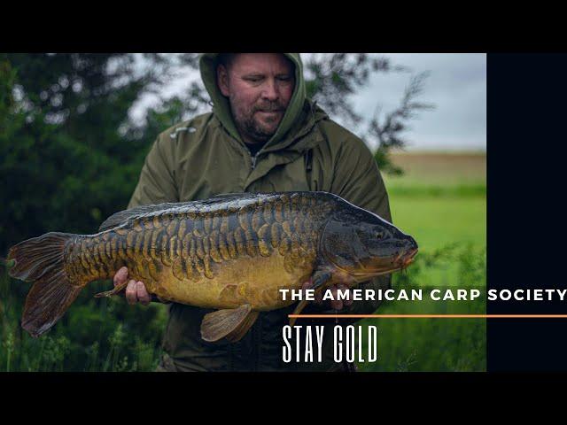 THE AMERICAN CARP SOCIETY - STAY GOLD