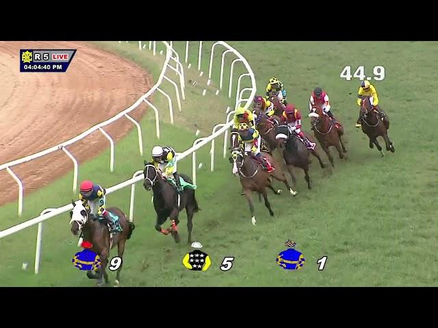 RANQUELINO: THE BANGALORE 2000 GUINEAS(GR II)(56)