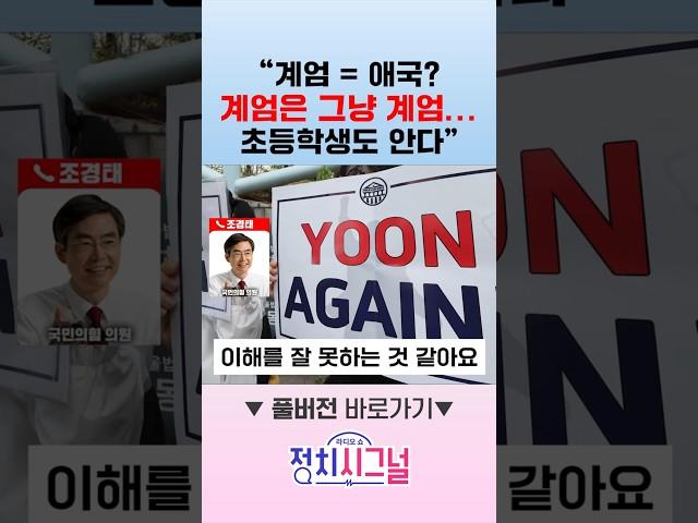 "계엄 = 애국? 계엄은 그냥 계엄... 초등학생도 안다" / #채널A #shorts #정치시그널