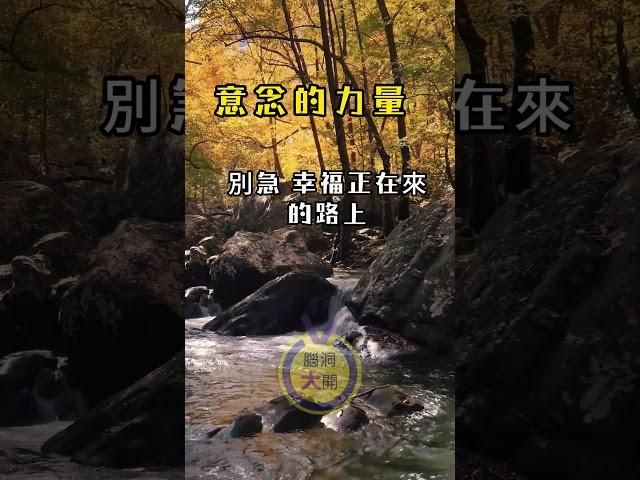 意念的力量｜心靈一點通 腦洞大開 ｜宇宙吸引力法則