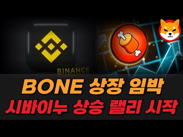 [시바이누코인] BONE 토큰, 바이낸스 상장 임박! 대박 상승 랠리 시작합니다!!